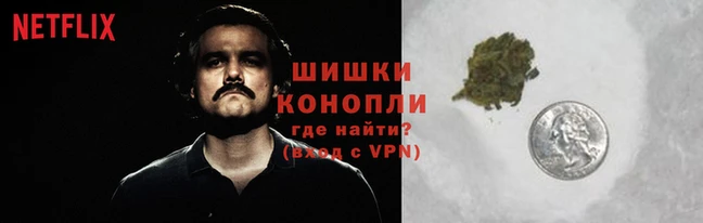 шишки Алексин